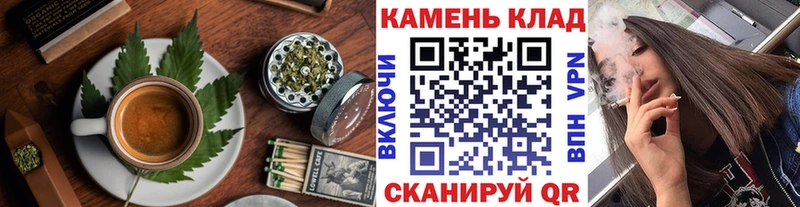 Купить  Губаха  Canna-Cookies конопля 