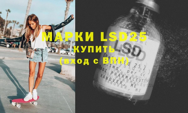 индика Богородицк