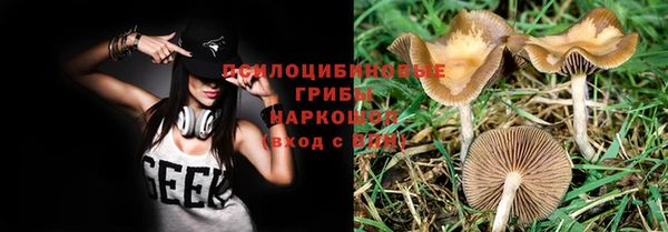гашишное масло Белокуриха