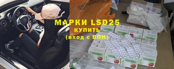 прущие грибы Баксан